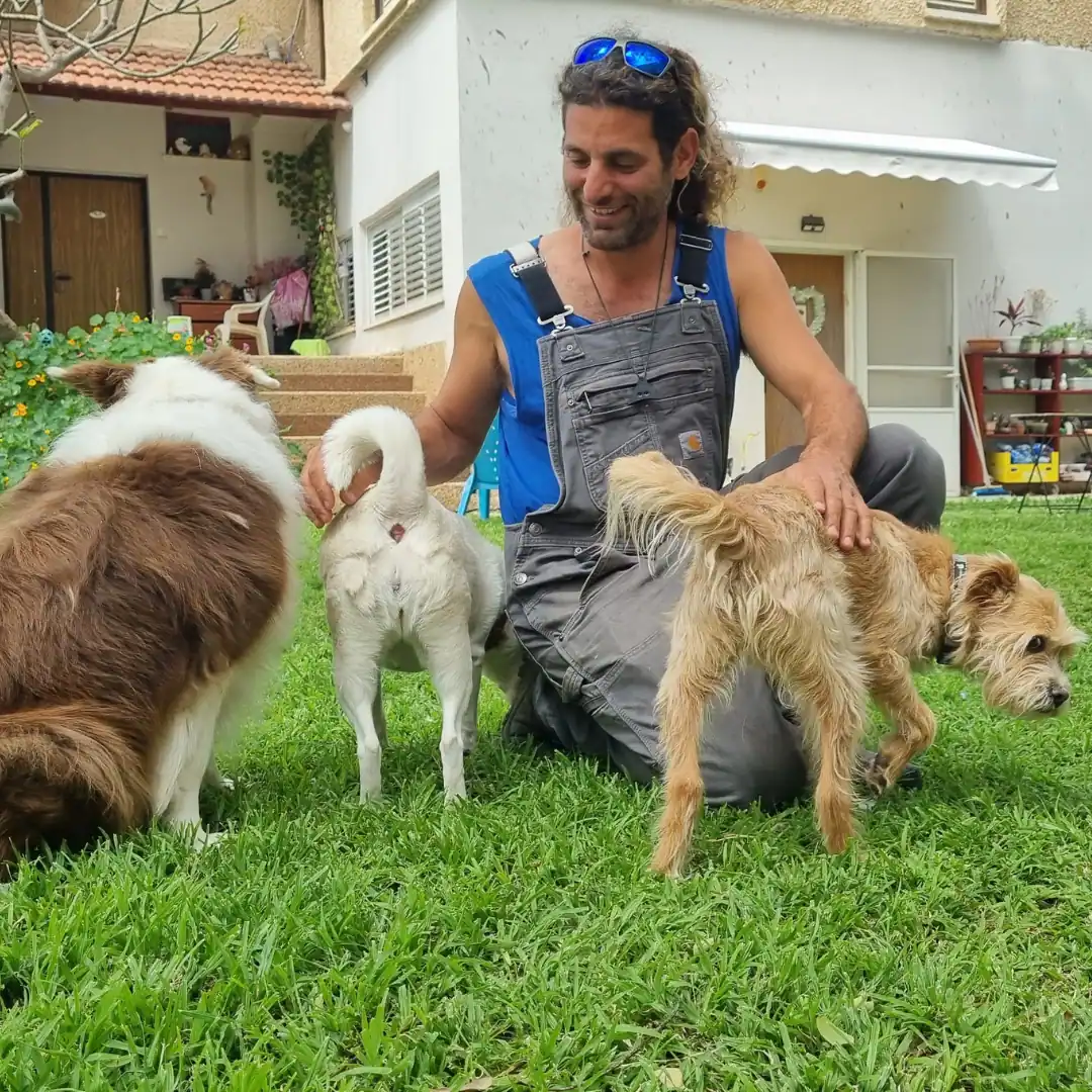 Fetch ריבועי (8)